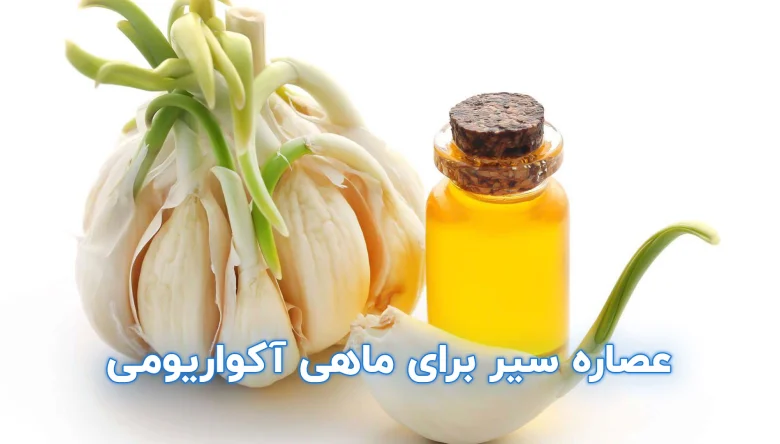 طرز تهیه عصاره سیر برای ماهی