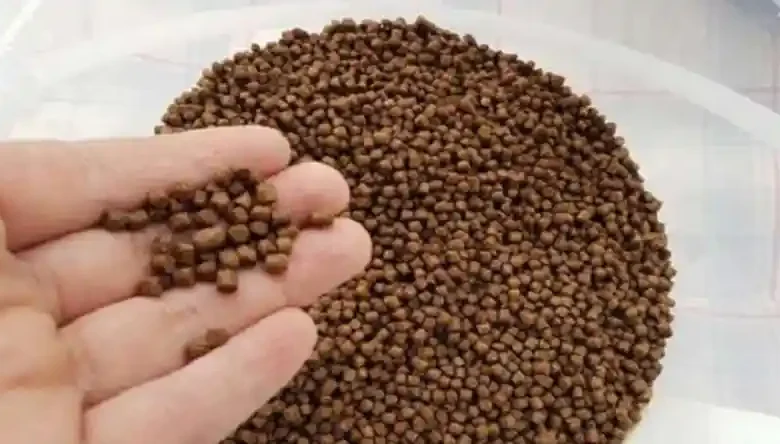 غذای کپور پرورشی
