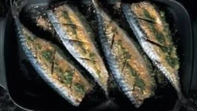 ماهی ماکرل چیست