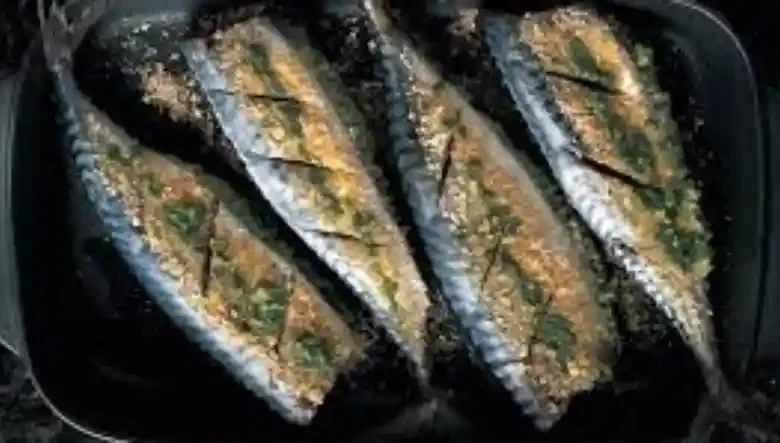 ماهی ماکرل چیست