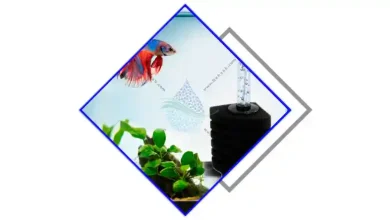 نحوه کار بیوفیلتر آکواریوم