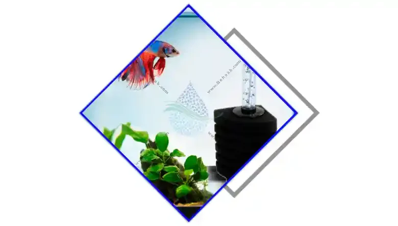 نحوه کار بیوفیلتر آکواریوم