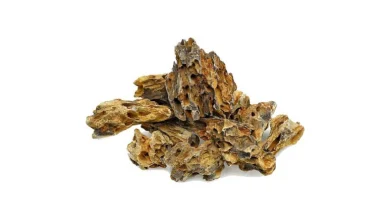 سنگ آکواریوم دراگون