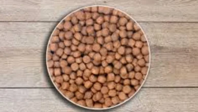 غذا ده اتوماتیک ماهی قزل آلا