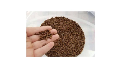 قیمت کنسانتره ماهی کپور