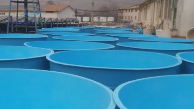 خرید استخر پرورش ماهی فایبرگلاس