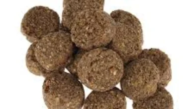 غذای مورد علاقه ماهی لجن خوار