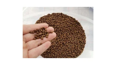 قیمت غذای ماهی کپور پرورشی