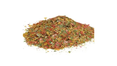 غذای ماهی قرمز نان