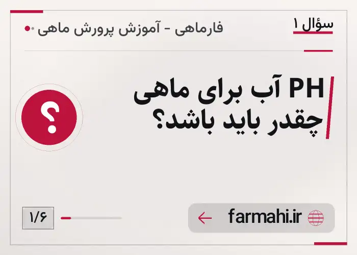 PH آب برای ماهی چقدر باید باشد؟