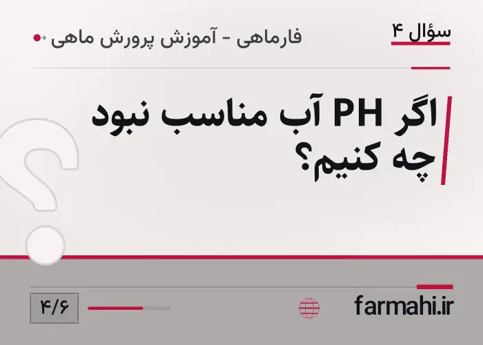 اگر PH آب مناسب نبود چه کنیم؟