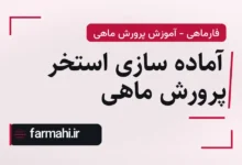 آماده سازی استخر پرورش ماهی