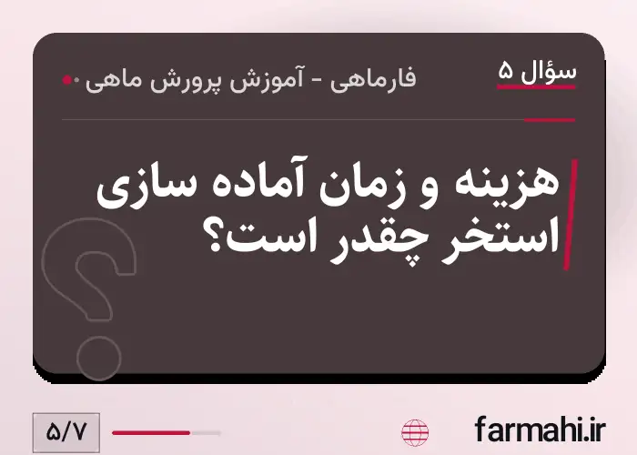 هزینه و زمان آماده سازی استخر چقدر است؟