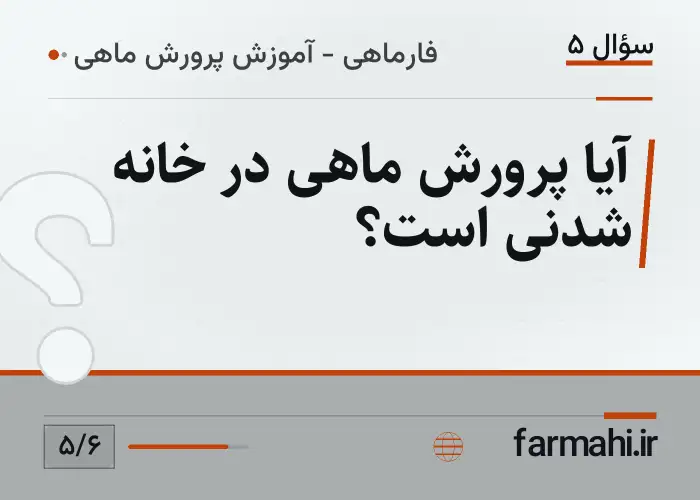 آیا پرورش ماهی در خانه شدنی است؟