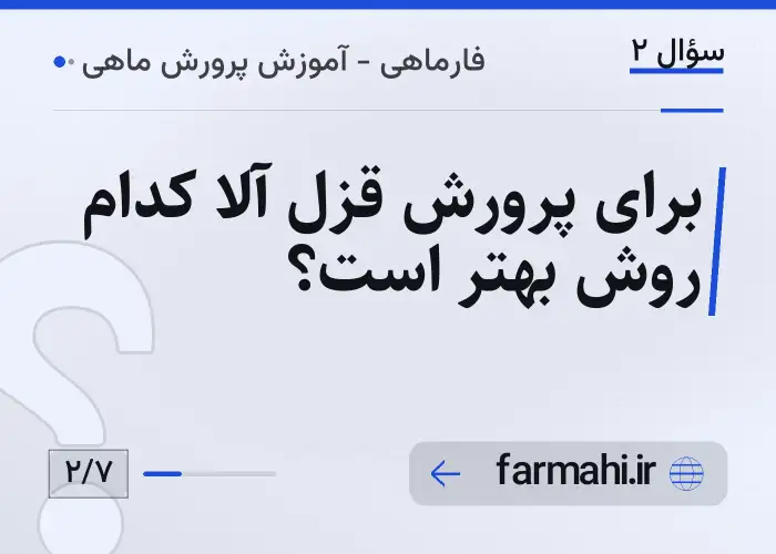 برای پرورش قزل آلا کدام روش بهتر است؟