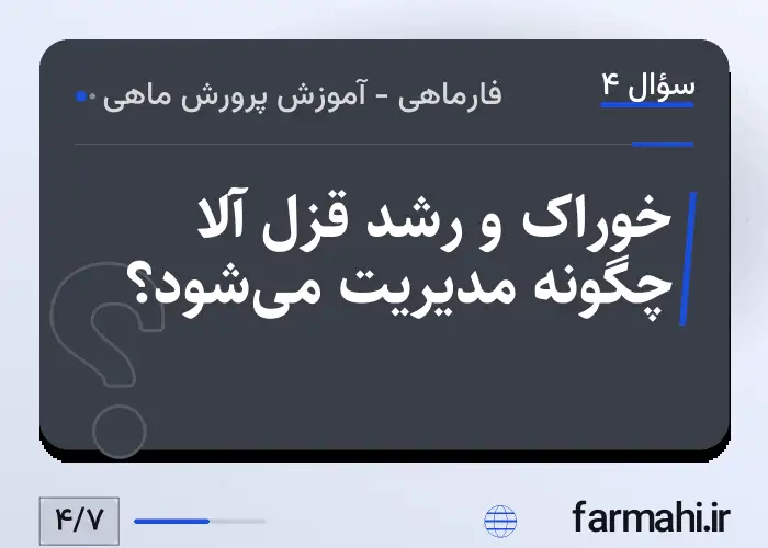 خوراک و رشد قزل آلا چگونه مدیریت می‌شود؟