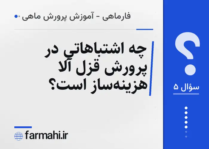 چه اشتباهاتی در پرورش قزل آلا هزینه‌ساز است؟