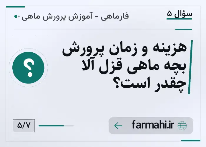 هزینه و زمان پرورش بچه ماهی قزل آلا چقدر است؟