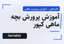 آموزش پرورش بچه ماهی کپور