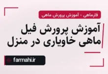 آموزش پرورش فیل ماهی خاویاری در منزل
