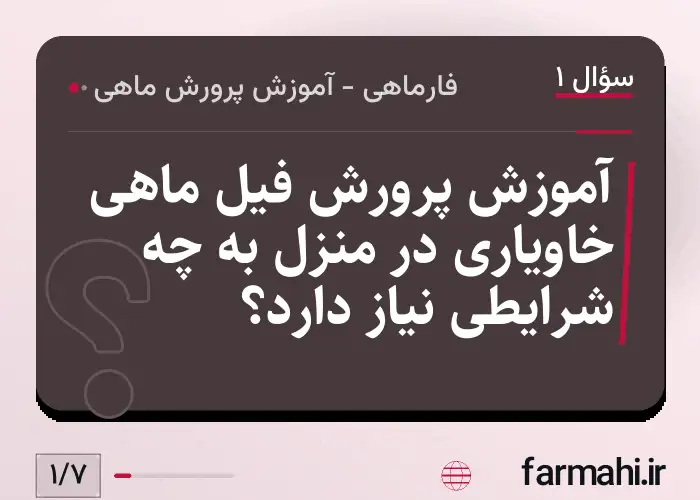 آموزش پرورش فیل ماهی خاویاری در منزل به چه شرایطی نیاز دارد؟