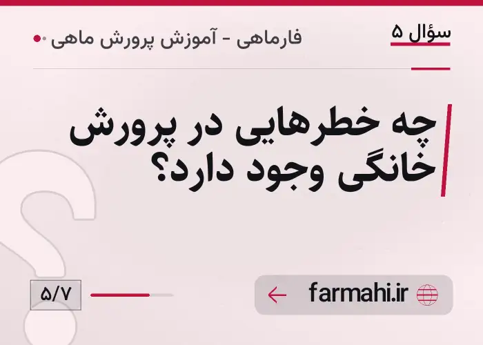 چه خطرهایی در پرورش خانگی وجود دارد؟