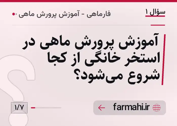 آموزش پرورش ماهی در استخر خانگی از کجا شروع می‌شود؟