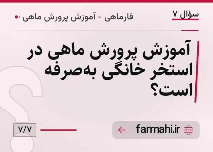 آموزش پرورش ماهی در استخر خانگی به‌صرفه است؟