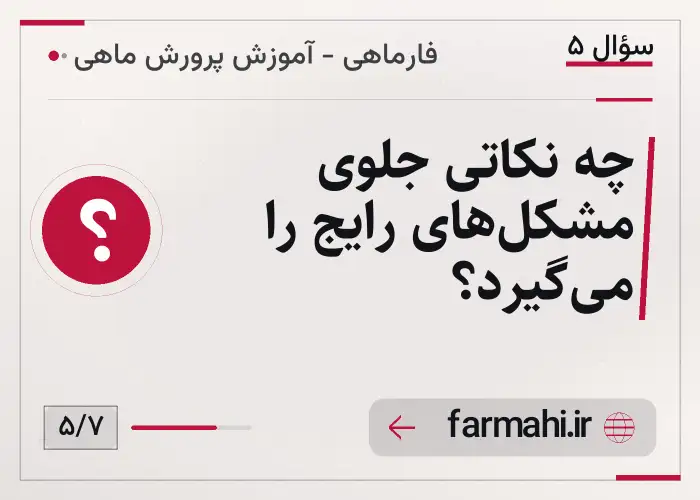 چه نکاتی جلوی مشکل‌های رایج را می‌گیرد؟
