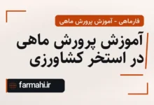 آموزش پرورش ماهی در استخر کشاورزی