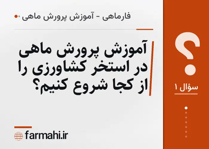آموزش پرورش ماهی در استخر کشاورزی را از کجا شروع کنیم؟