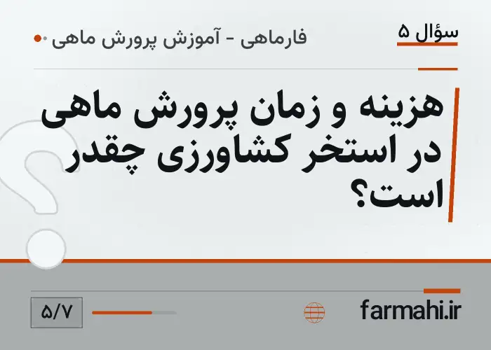 هزینه و زمان پرورش ماهی در استخر کشاورزی چقدر است؟