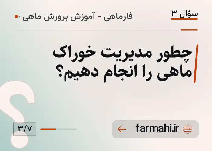 چطور مدیریت خوراک ماهی را انجام دهیم؟
