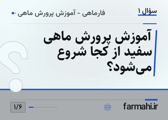 آموزش پرورش ماهی سفید از کجا شروع می‌شود؟