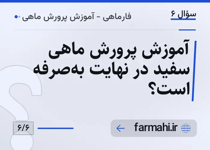 آموزش پرورش ماهی سفید در نهایت به‌صرفه است؟