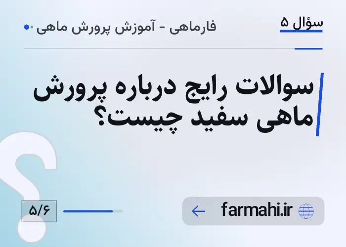 سوالات رایج درباره پرورش ماهی سفید چیست؟