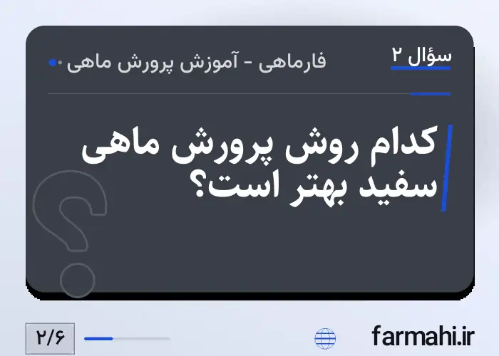 کدام روش پرورش ماهی سفید بهتر است؟