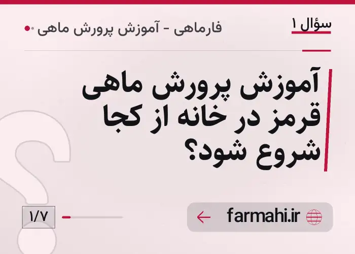 آموزش پرورش ماهی قرمز در خانه از کجا شروع شود؟