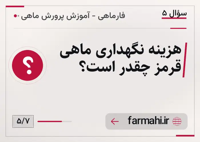 هزینه نگهداری ماهی قرمز چقدر است؟