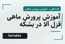 آموزش پرورش ماهی قزل آلا در بشکه