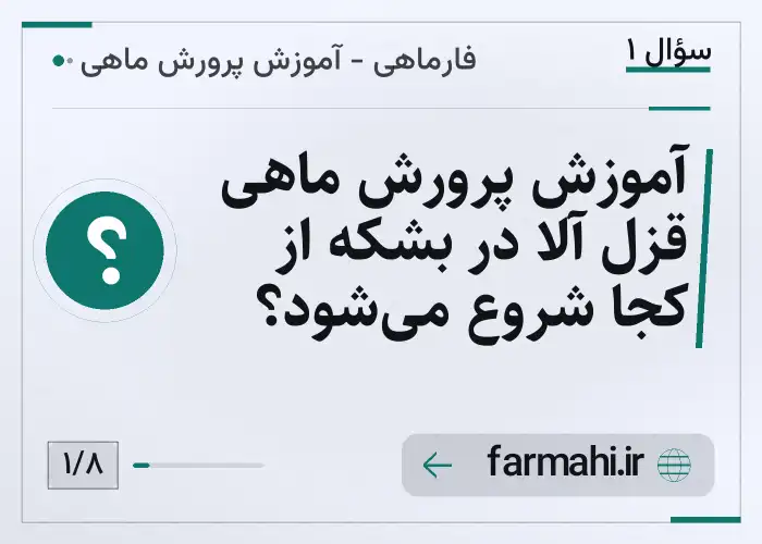 آموزش پرورش ماهی قزل آلا در بشکه از کجا شروع می‌شود؟