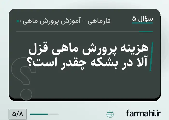 هزینه پرورش ماهی قزل آلا در بشکه چقدر است؟