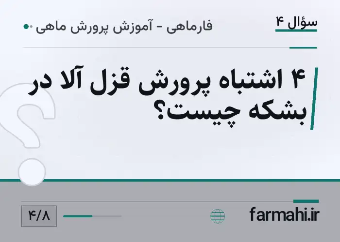۴ اشتباه پرورش قزل آلا در بشکه چیست؟