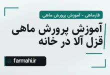 آموزش پرورش ماهی قزل آلا در خانه