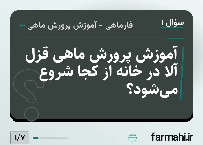 آموزش پرورش ماهی قزل آلا در خانه از کجا شروع می‌شود؟
