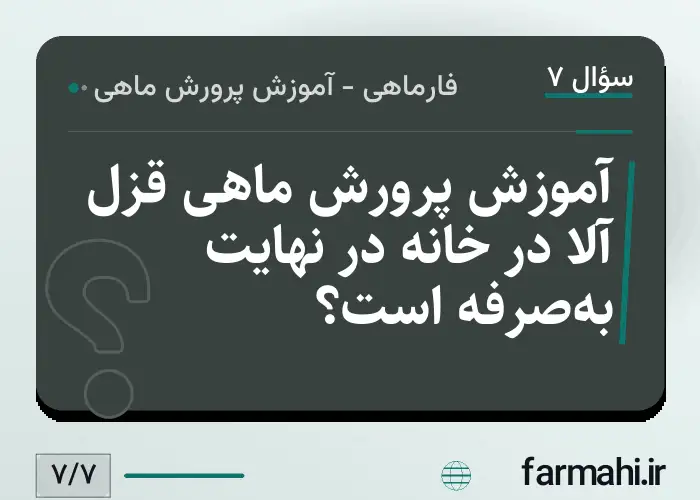 آموزش پرورش ماهی قزل آلا در خانه در نهایت به‌صرفه است؟