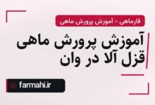 آموزش پرورش ماهی قزل آلا در وان