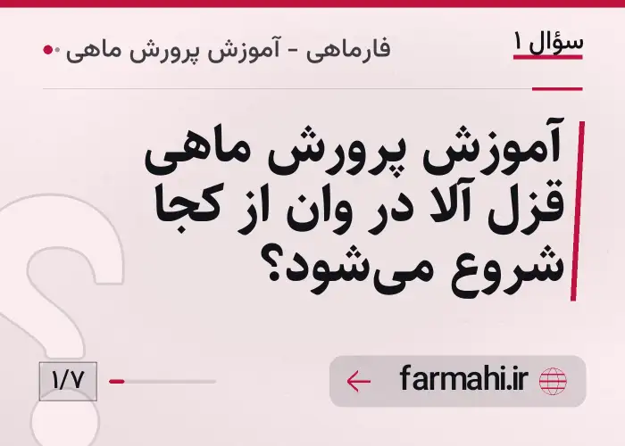 آموزش پرورش ماهی قزل آلا در وان از کجا شروع می‌شود؟