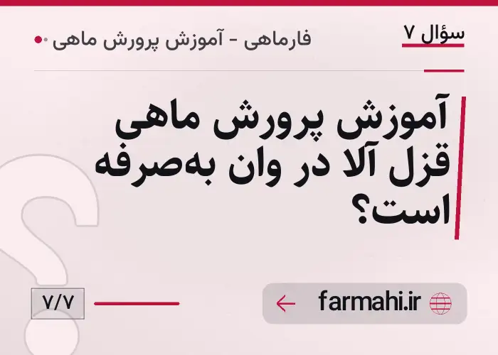آموزش پرورش ماهی قزل آلا در وان به‌صرفه است؟
