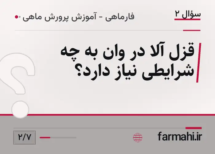قزل آلا در وان به چه شرایطی نیاز دارد؟